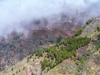 Mirador Roque Nublo